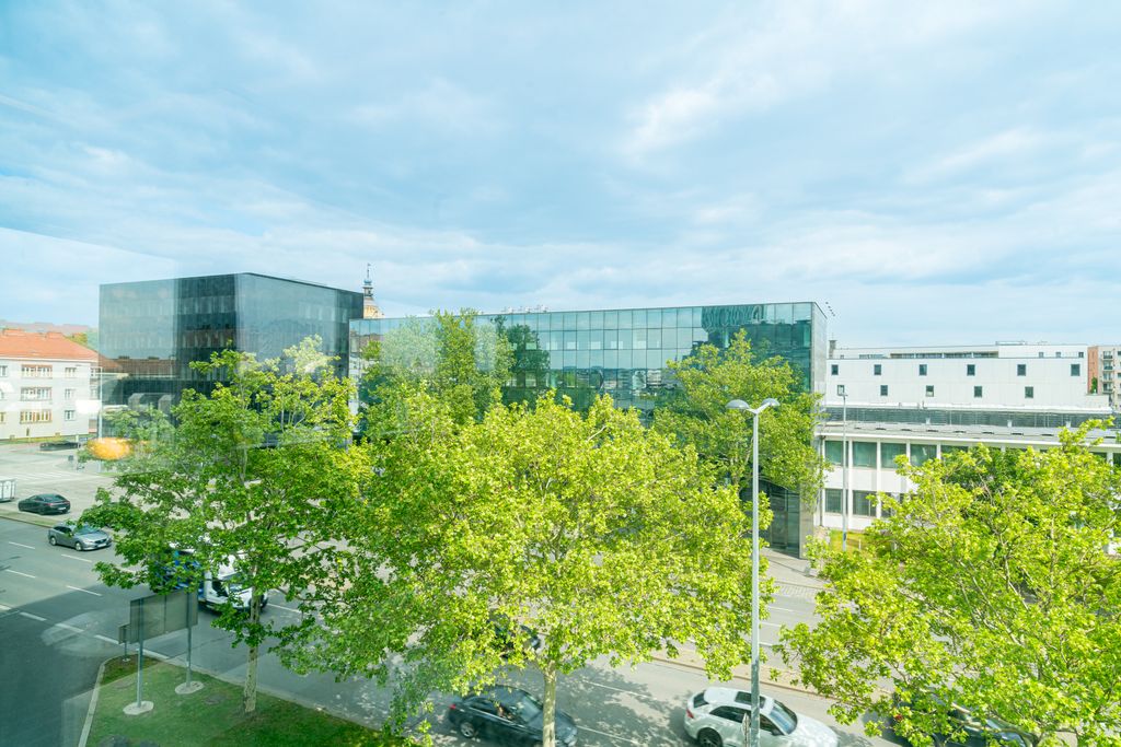 Thumb - Elegante Kleinwohnung für preisbewusste Wien-Reisende mit hohen Ansprüchen num - 11